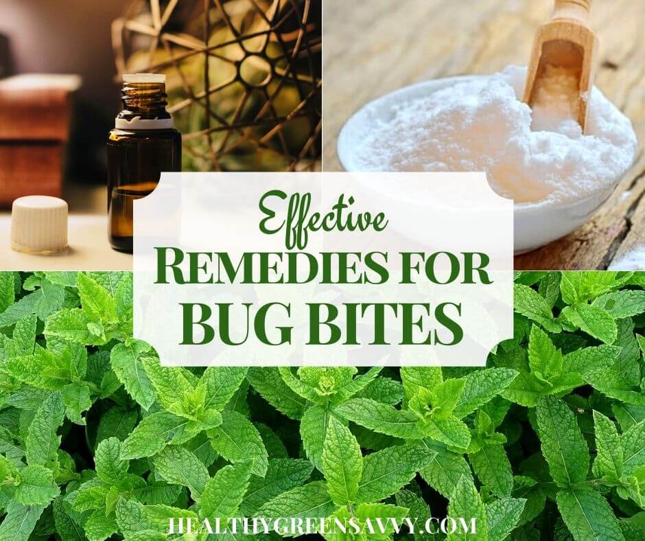 cover photo of home remedies for bug biteswith title text overlay