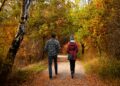 Menschen gehen im Wald spazieren.