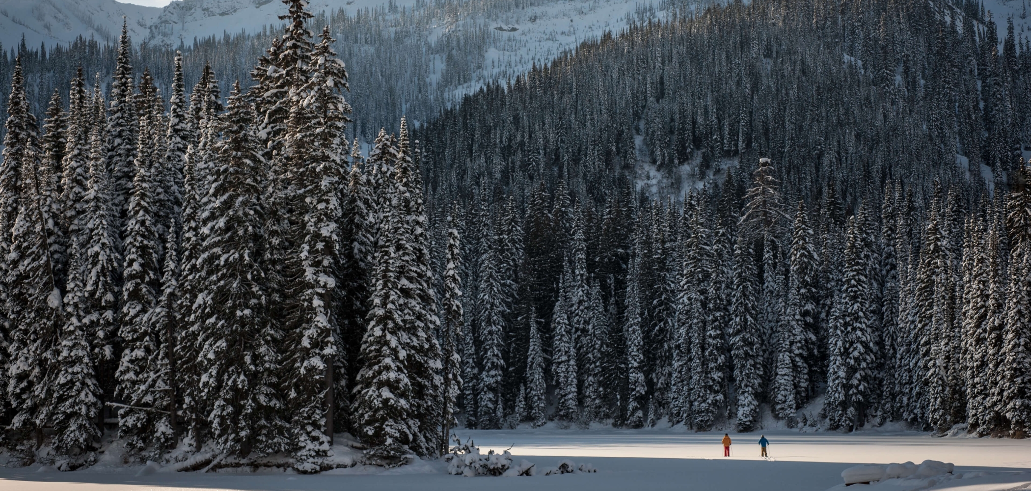 Two people in the distance walking through the snow, surrounded by trees and mountains