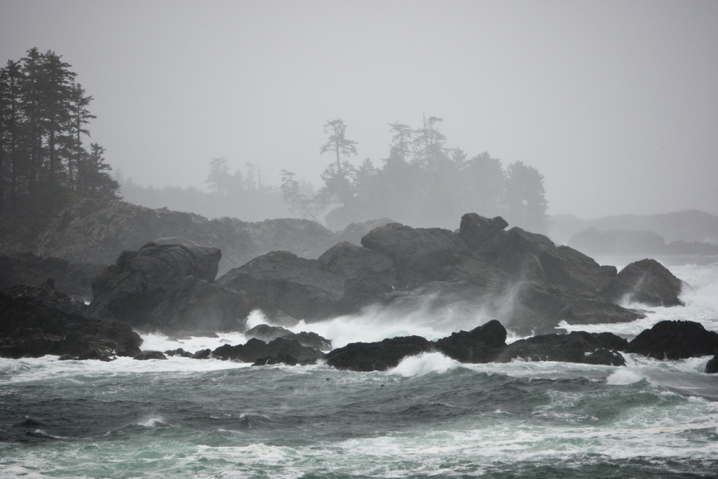 Storm watching near Amphitrite Lighthouse along the Wild Pacific Trail | Boomer Jerritt