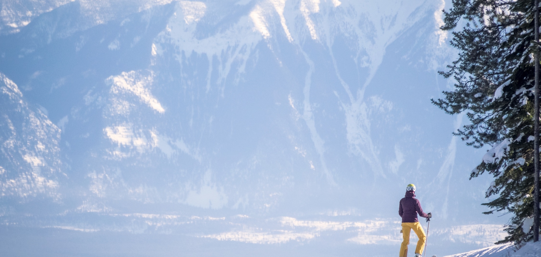 A lone skier looks out at the snow covered mountain range in the distance. They are wearing a purple jacket and yellow snow pants.