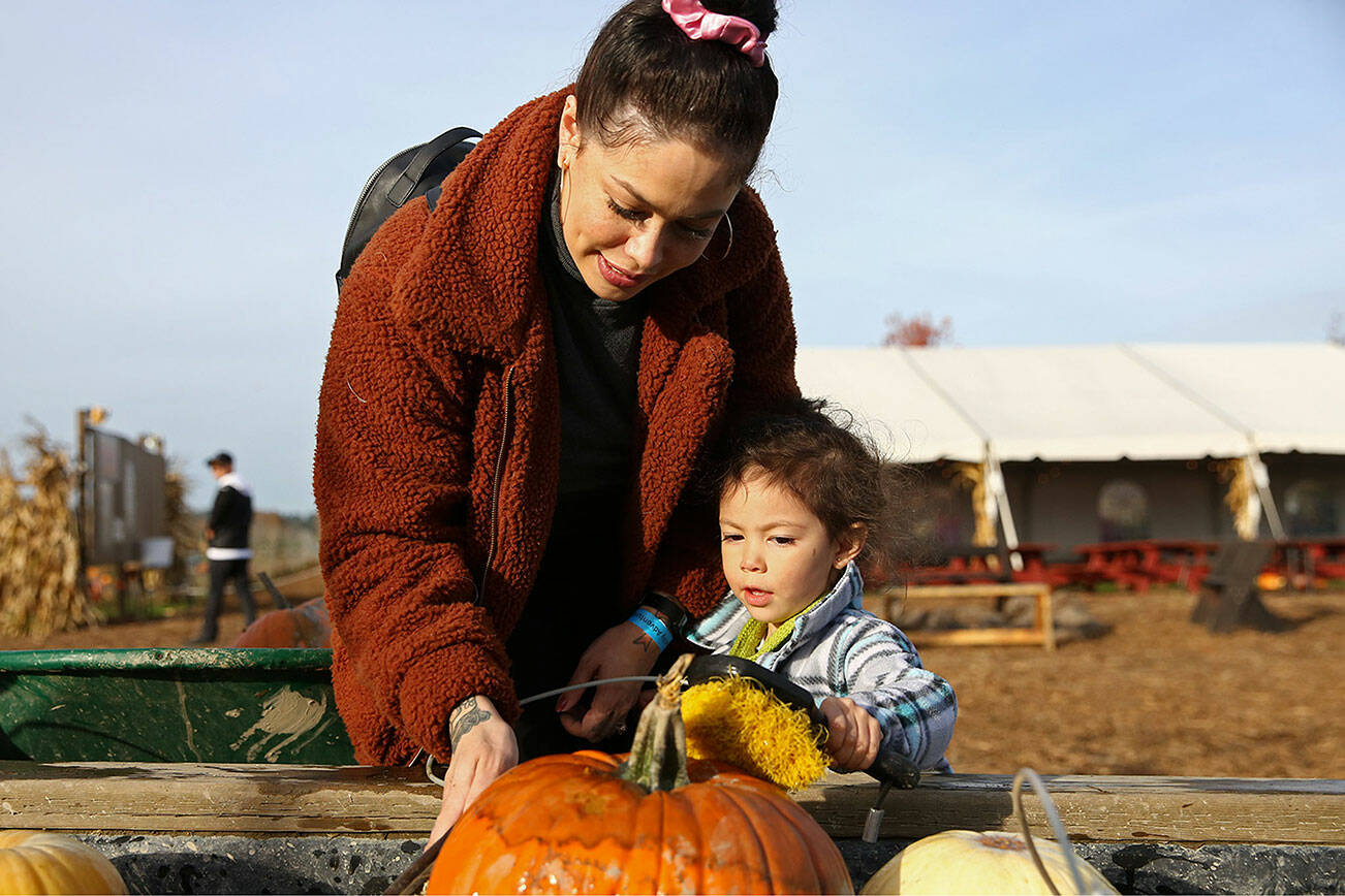 Rahayu So (left) and Bella So wash their picked pumpkins Wednesday afternoon at Stocker Farms in Snohomish on October 23, 2019. (Kevin Clark / The Herald)