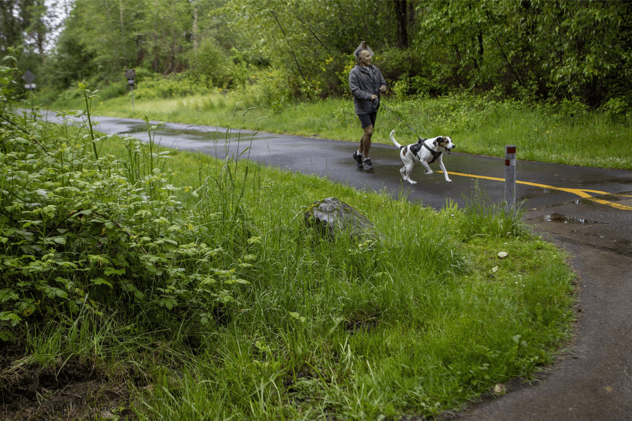 A person walks their dog at the Centennial Trail Rhododendron Trailhead in Lake Stevens, Washington on Sunday, May 19, 2024. (Annie Barker / The Herald).