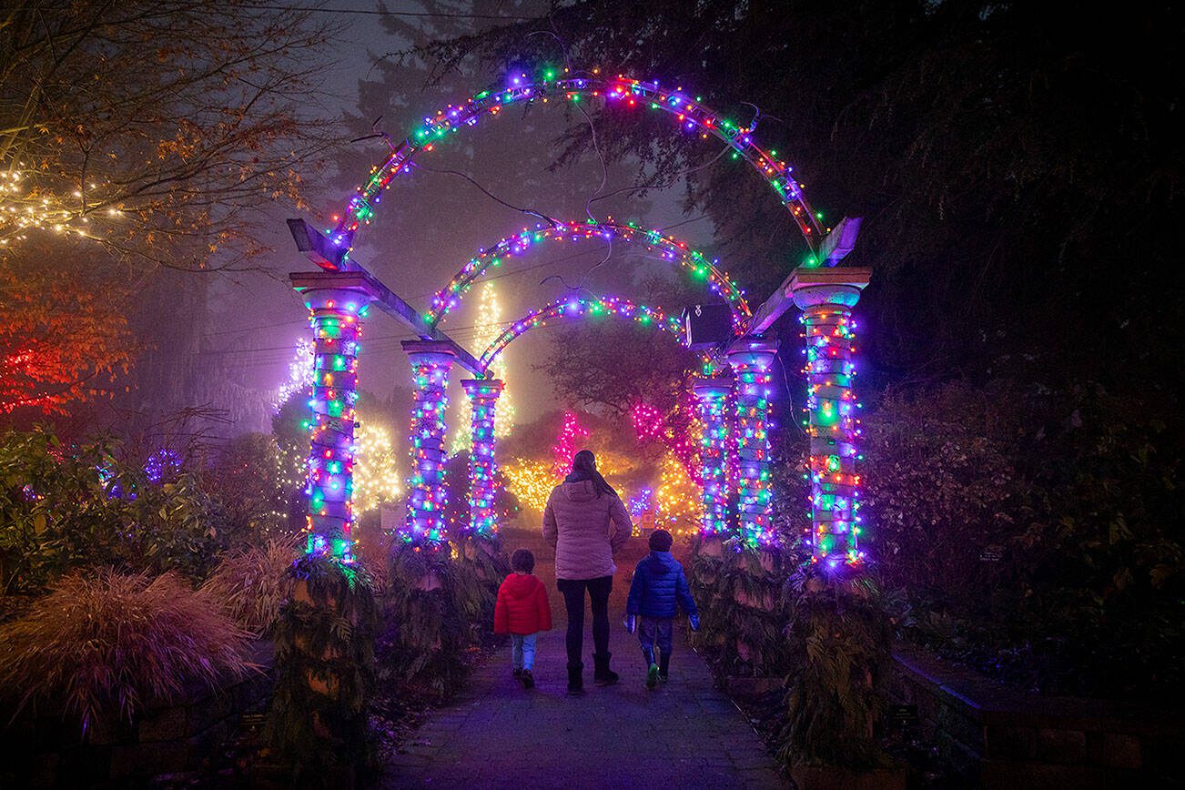 Jeni Graves and her two sons Elijah, 3, left, and Isaiah, 5, right, walk into Wintertide Lights at the Everett Arboretum  on Monday, Dec. 2, 2024 in Everett, Washington. (Olivia Vanni / The Herald)