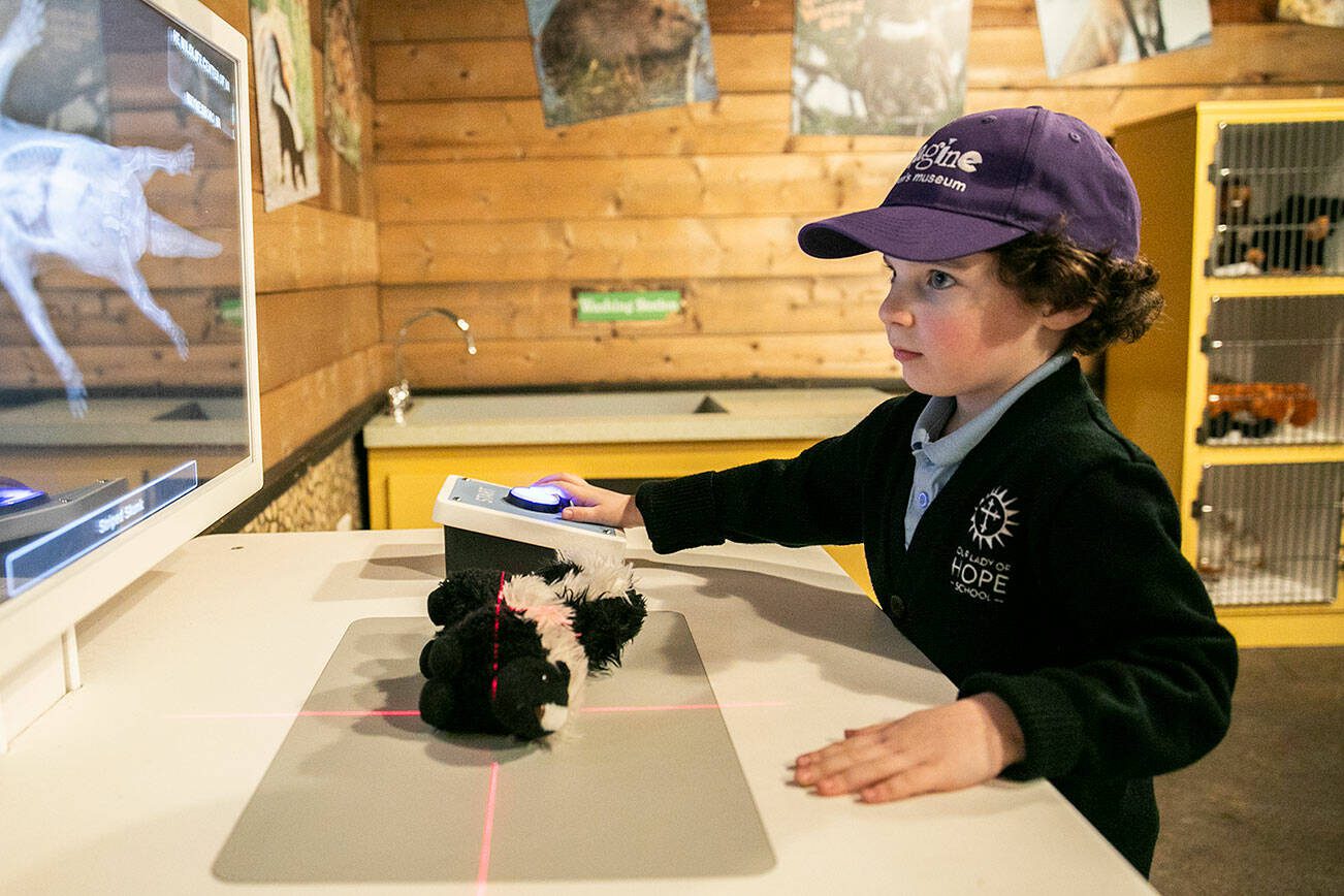 Aaron Weinstock uses an x-ray machine toy inside the Imagine Children Museum on Tuesday, Dec. 3, 2024 in Everett, Washington. (Olivia Vanni / The Herald)