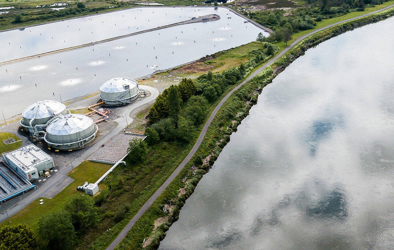 The Everett Wastewater Treatment Plant along the Snohomish River. Thursday, June 16, 2022 in Everett. (Olivia Vanni / The Herald)