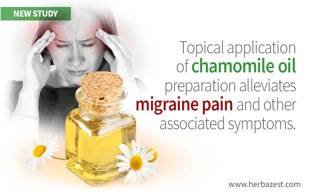 Chamomile's Effects on Relieving Migraine Symptoms Shown in a Study