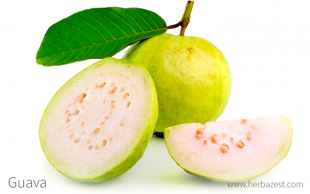 Guava