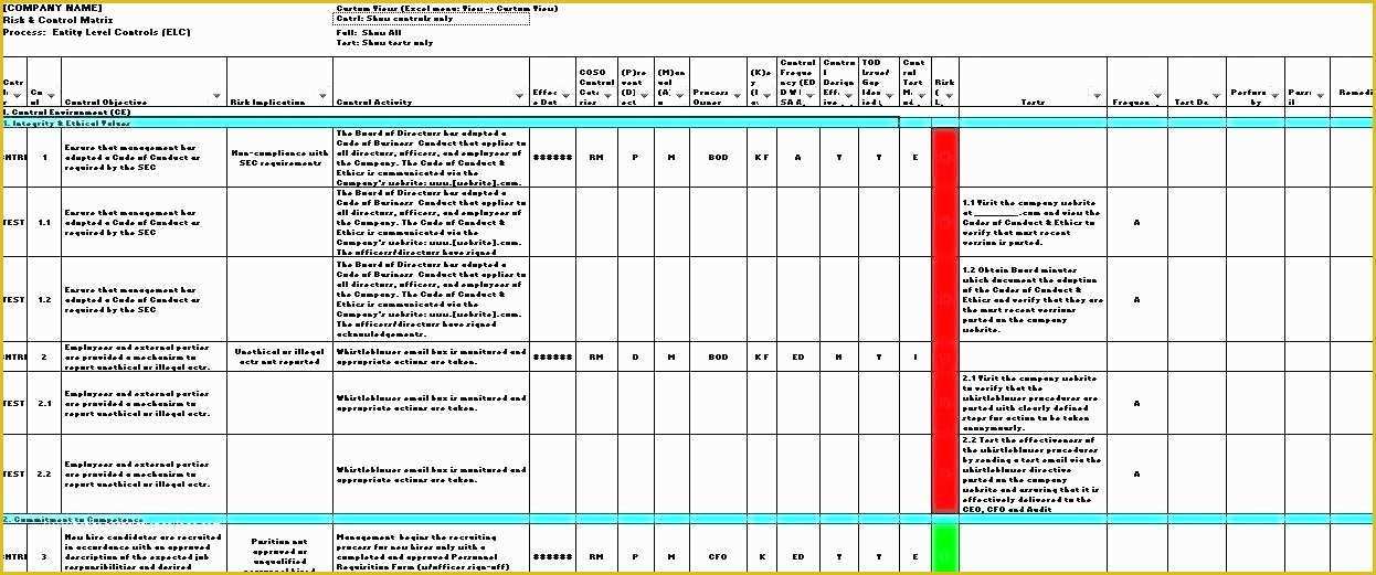 Healthcare Audit Template