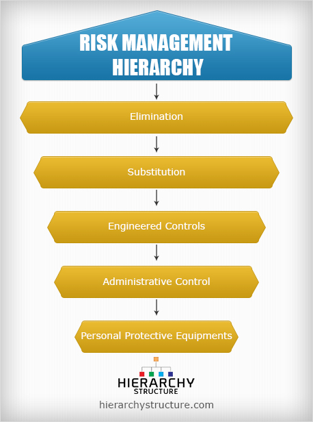 Risk Management Organization Chart