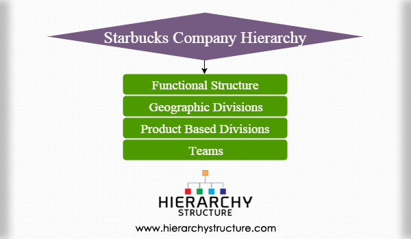 Starbucks Organizational Chart - vrogue.co