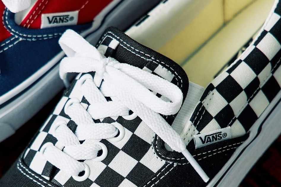 vans erap hybrid skate shoe