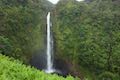 Akaka Falls Hike