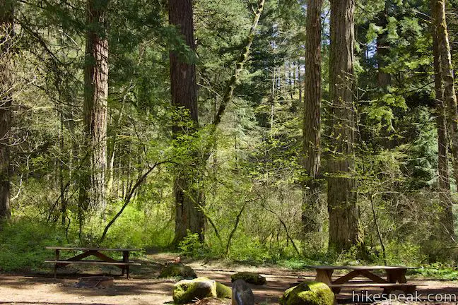 Beacon Rock State Park Campground | Washington | Hikespeak.com