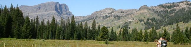 Pebble Creek Trail Yellowstone National Park hike backpacking