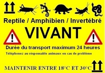 Animaux vivants