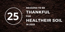 25 Reasons To Be Thankful for Healthier Soil In 2025