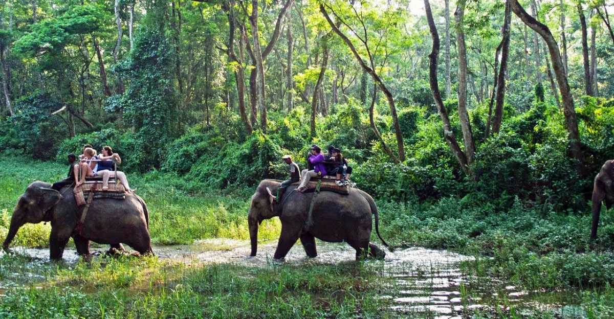 Chitwan National Park, Beautiful Places of Nepal