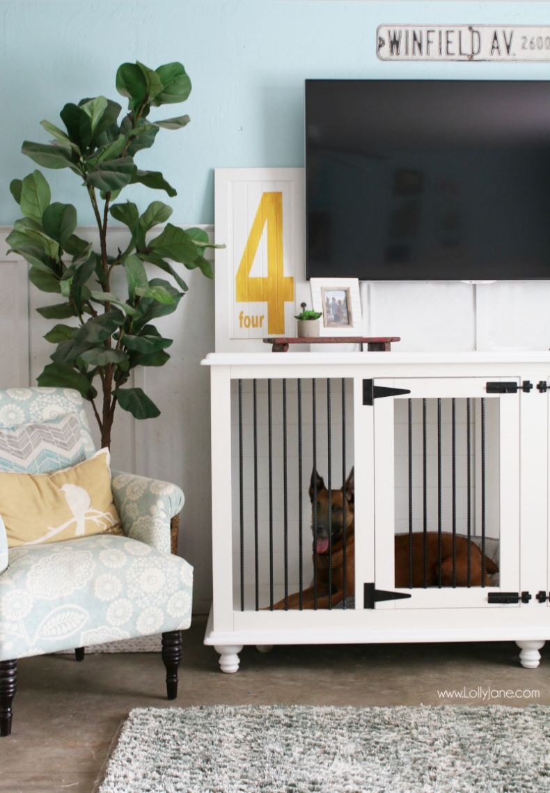 Dog Furniture Crate by Lolly Jane