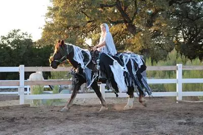 deaths steed horse and rider Halloween costume