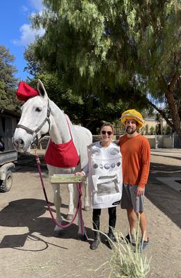 horse halloween costume yes chef