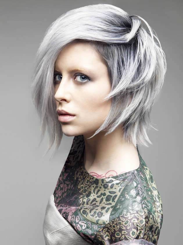 Silver Hairstyles