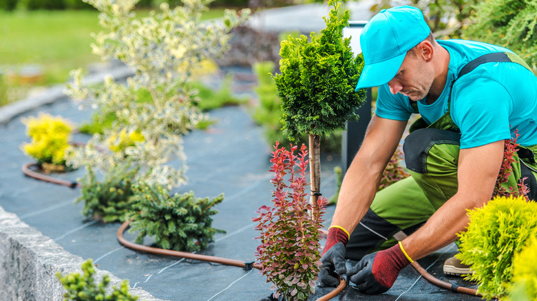 Man installing sprinkler system