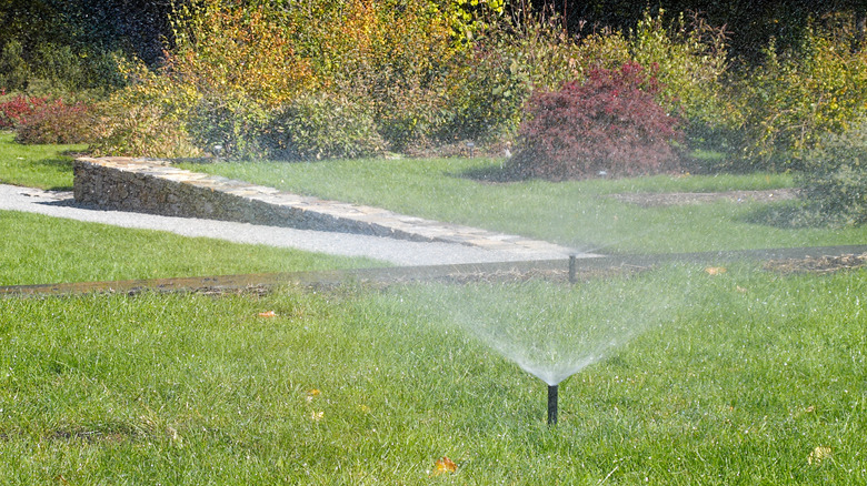 Spinkler system in backyard