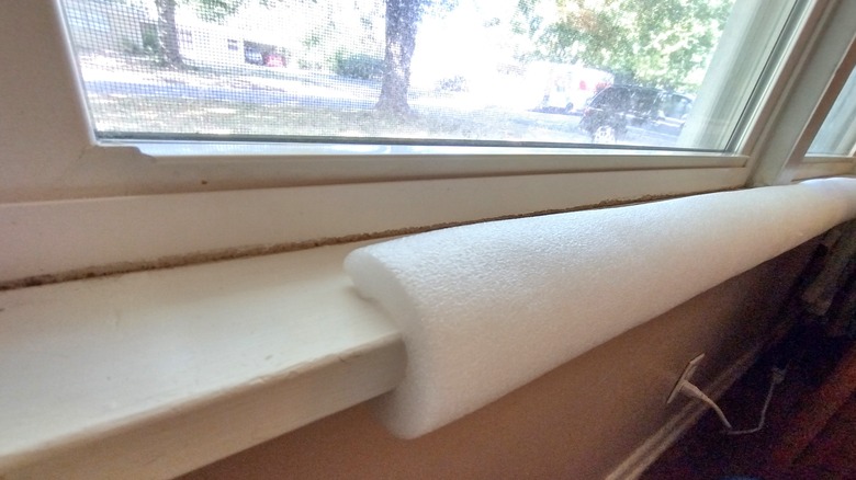 pool noodle on a windowsill