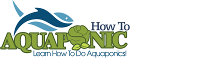 How To Aquaponic