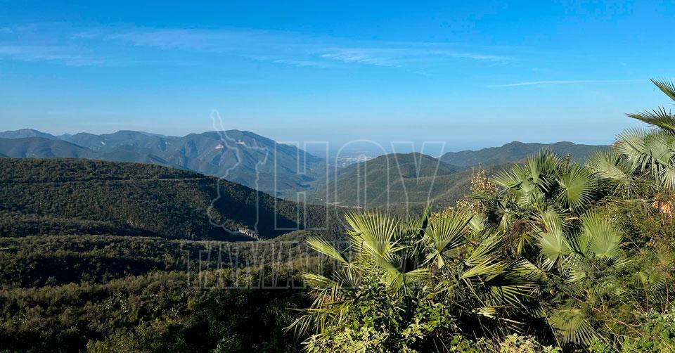 Nauraleza en Tamaulipas 