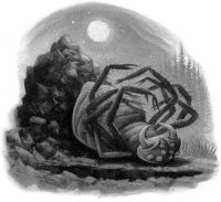 Aragog’s burial