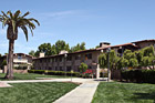 Graham Residence Hall & Palm Tree photo thumbnail