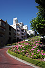 Crooked Lombard Street photo thumbnail