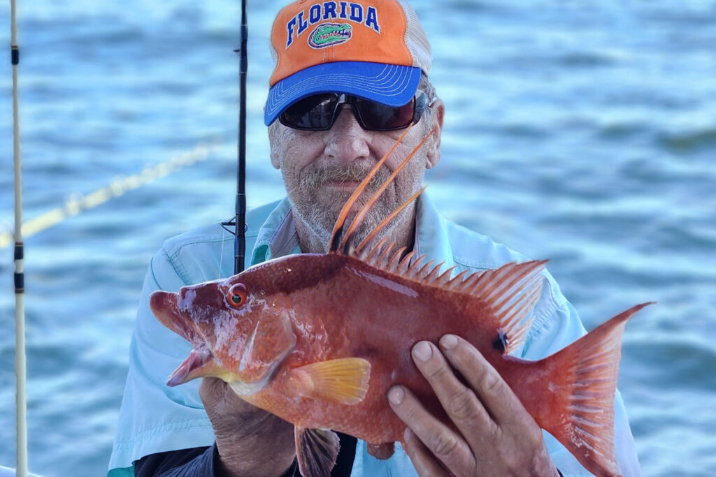 NEARSHORE-hogfish (11)