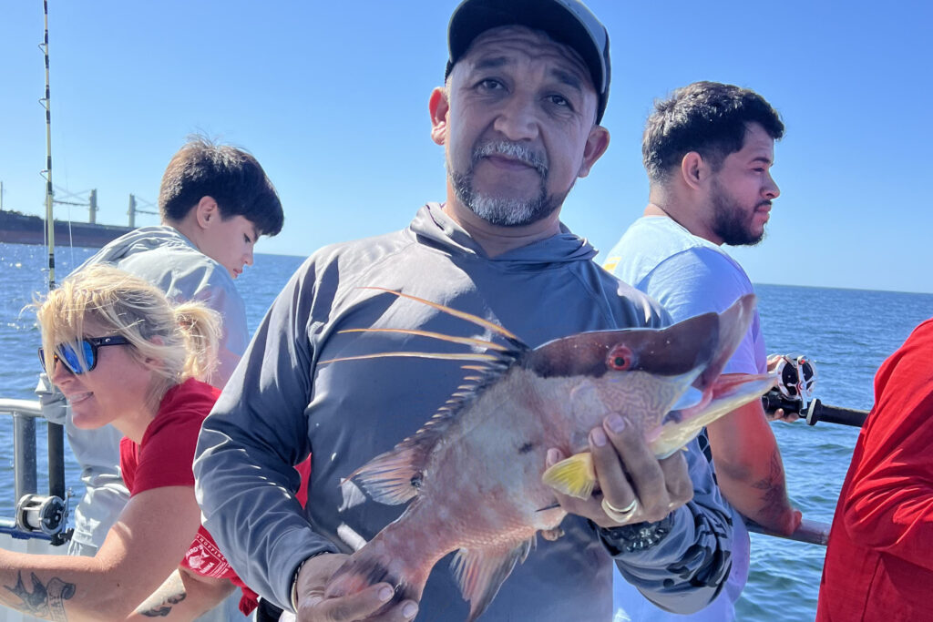 NEARSHORE-hogfish (16)