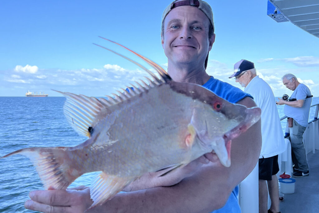 NEARSHORE-hogfish (19)