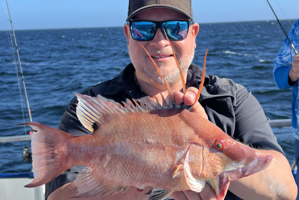 NEARSHORE-hogfish (25)