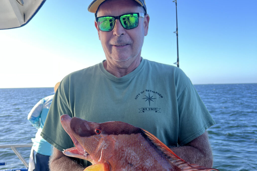 NEARSHORE-hogfish (6)