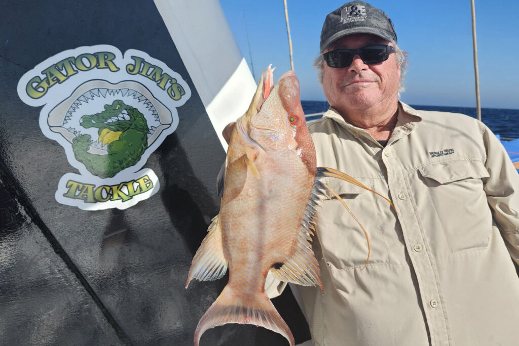 NEARSHORE-hogfish-gatorjims