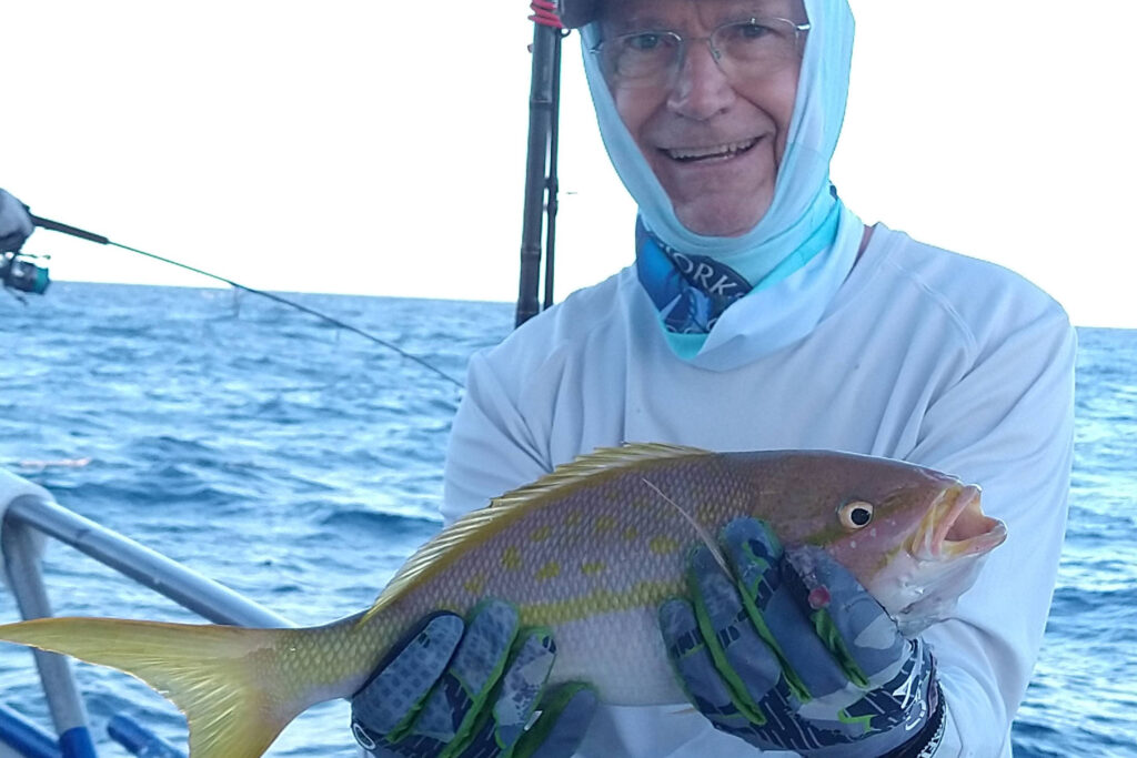 OFFSHORE-yellowtail-snapper