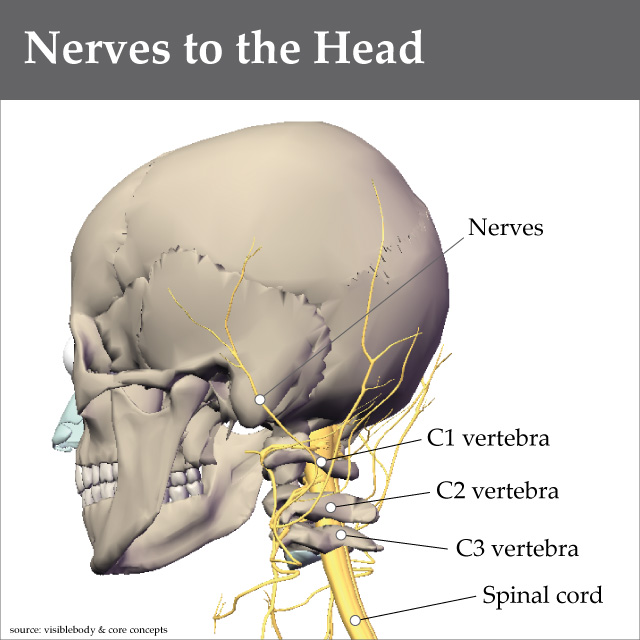 Scoliosis And Headaches: Understanding The Connection