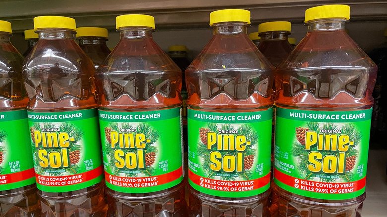 A row of Pine-Sol bottles on store shelves