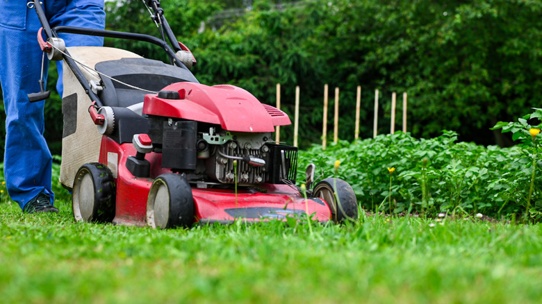 Person mowing lawn with red lawn mower