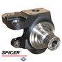 Dana/Spicer Steering Knuckle, MFD, RH, 12 Bolt Hub