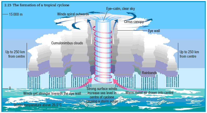 Tropical Cyclones Ias4sure | Hot Sex Picture