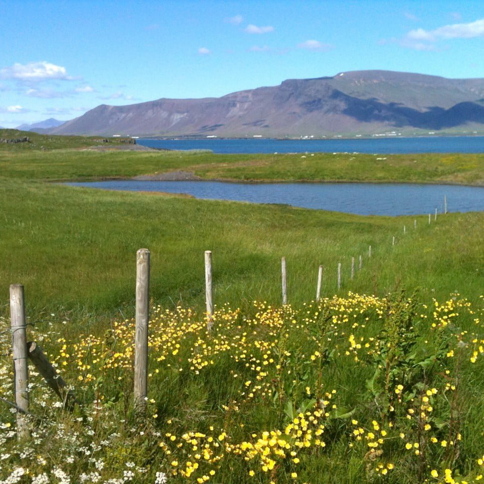 Weather in August in Iceland