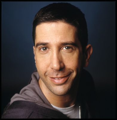 David Schwimmer Poster G555003 - IcePoster.com