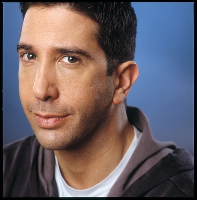 David Schwimmer Poster G555014 - IcePoster.com