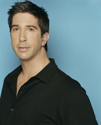 David Schwimmer Poster G555018 - IcePoster.com